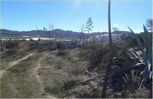 Foto 2 de Venta de terreno en La Hoya-Almendricos-Purias de 578 m²