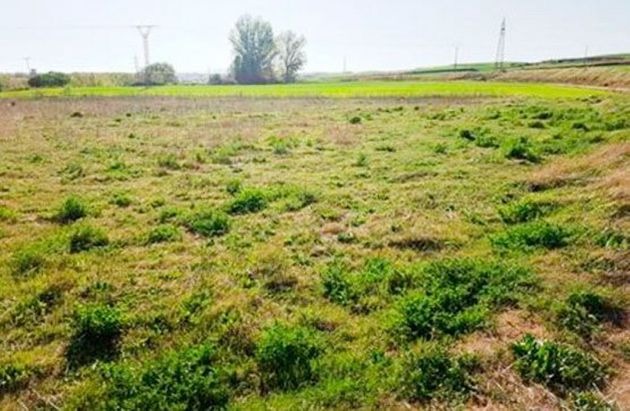 Foto 2 de Venta de terreno en Área Rural de 4306 m²
