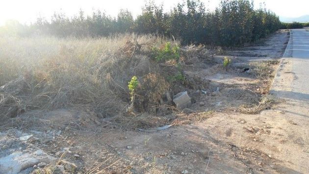 Foto 2 de Venta de terreno en Benimuslem de 12870 m²
