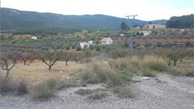 Foto 1 de Venta de terreno en Cehegín de 5000 m²