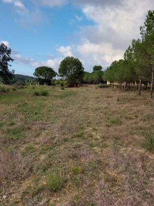 Foto 1 de Venta de terreno en Corçà de 7000 m²