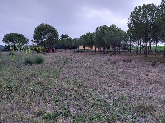 Foto 2 de Venta de terreno en Corçà de 7000 m²