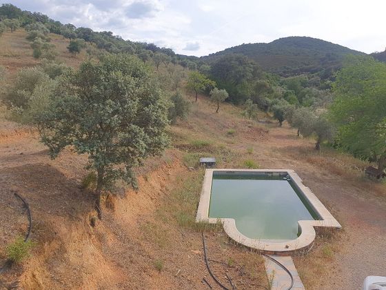 Foto 2 de Xalet en venda a Alcaracejos de 3 habitacions amb terrassa i piscina
