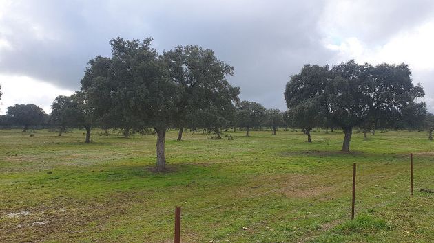 Foto 1 de Venta de terreno en Fuente Obejuna de 510000 m²