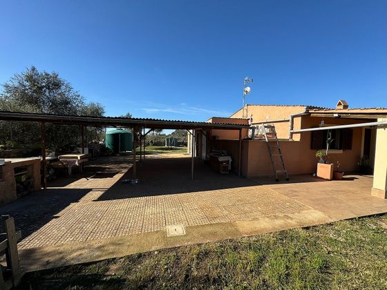 Foto 2 de Casa rural en venda a Lloret de Vistalegre de 3 habitacions amb terrassa i jardí