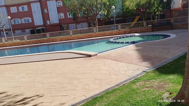 Foto 1 de Pis en venda a Estadi Balear - Rafal Nou - Son Malferit de 2 habitacions amb terrassa i piscina