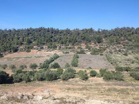Foto 2 de Venta de terreno en Masroig, El de 52000 m²