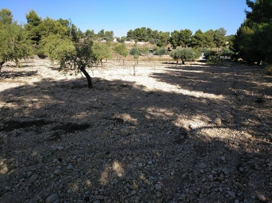 Foto 1 de Venta de terreno en Almansa de 4500 m²
