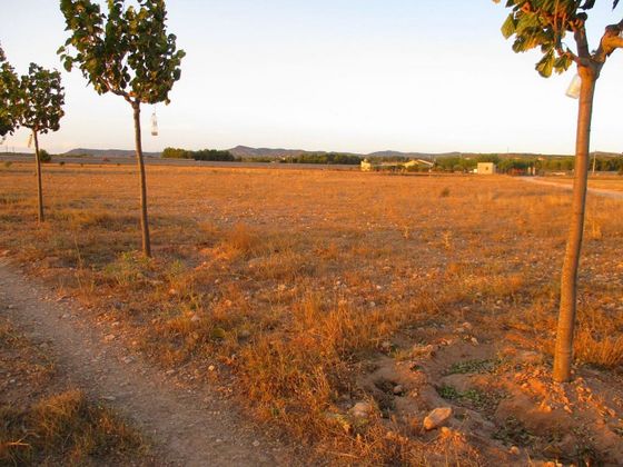Foto 2 de Venta de terreno en Almansa de 15700 m²