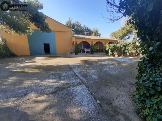 Foto 2 de Casa rural en venda a Gineta (La) de 4 habitacions amb terrassa
