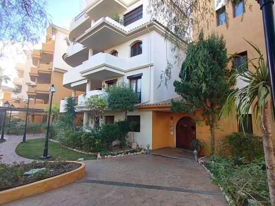 Foto 1 de Pis en venda a La Siesta - El Salado - Torreta de 1 habitació amb terrassa i piscina