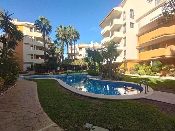 Foto 2 de Pis en venda a La Siesta - El Salado - Torreta de 1 habitació amb terrassa i piscina