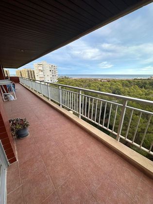 Foto 1 de Pis en venda a El Saler de 5 habitacions amb terrassa i piscina