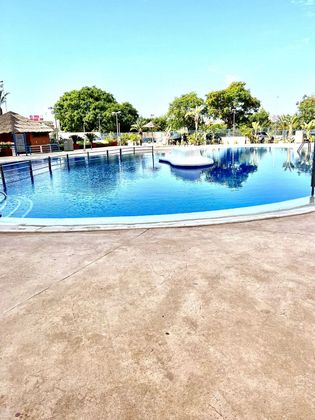 Foto 2 de Pis en lloguer a Puerto Deportivo de 1 habitació amb terrassa i piscina