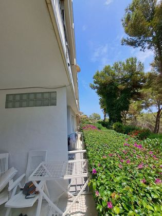 Foto 1 de Piso en venta en Sol de Mallorca de 1 habitación con terraza y piscina