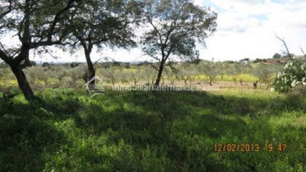 Foto 1 de Venta de terreno en Arroyo de la Luz de 8200 m²