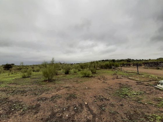 Foto 2 de Venta de terreno en Botija de 44400 m²