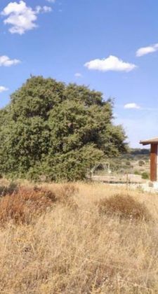 Foto 2 de Venta de terreno en Arroyo de la Luz de 2800 m²