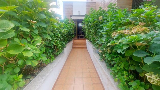 Foto 2 de Venta de casa en Las Matas  - Peñascales de 5 habitaciones con terraza y piscina