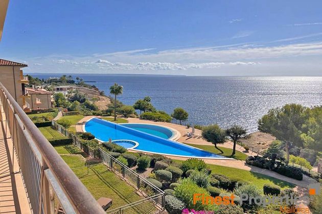 Foto 1 de Dúplex en lloguer a Sol de Mallorca de 6 habitacions amb terrassa i piscina