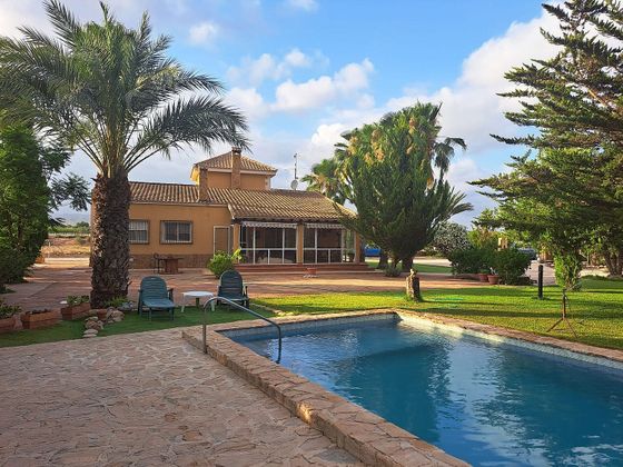 Foto 1 de Venta de casa rural en La Algoda - Matola - El Pla de 6 habitaciones con terraza y piscina