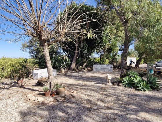 Foto 2 de Xalet en venda a Torrellano de 5 habitacions amb terrassa i jardí