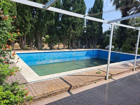Foto 1 de Chalet en venta en Albatera de 4 habitaciones con terraza y piscina