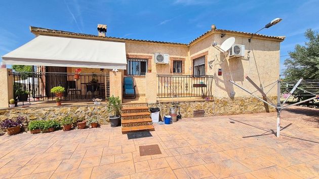 Foto 2 de Xalet en venda a Almoradí de 4 habitacions amb terrassa i piscina