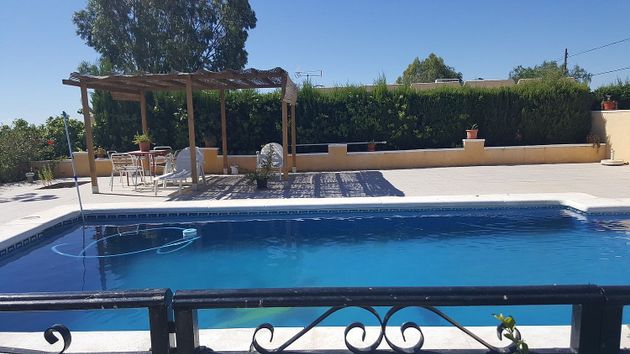 Foto 2 de Xalet en venda a Albatera de 5 habitacions amb terrassa i piscina