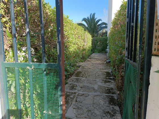 Foto 2 de Piso en alquiler en Port de Pollença de 3 habitaciones con terraza y piscina