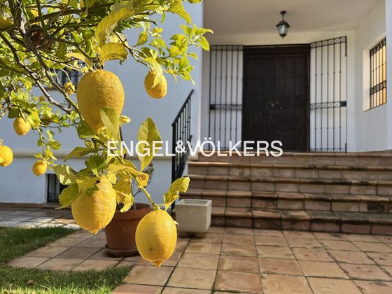 Foto 2 de Venta de chalet en Cartaya de 6 habitaciones con terraza y piscina