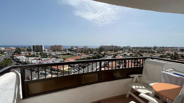 Foto 2 de Estudio en venta en Playa del Inglés con terraza y piscina