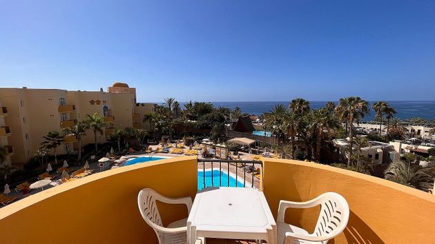 Foto 2 de Venta de piso en San Agustín - Bahía Feliz - Playa del Águila de 2 habitaciones con piscina y balcón