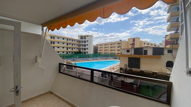 Foto 1 de Piso en alquiler en Playa del Inglés de 1 habitación con terraza y piscina