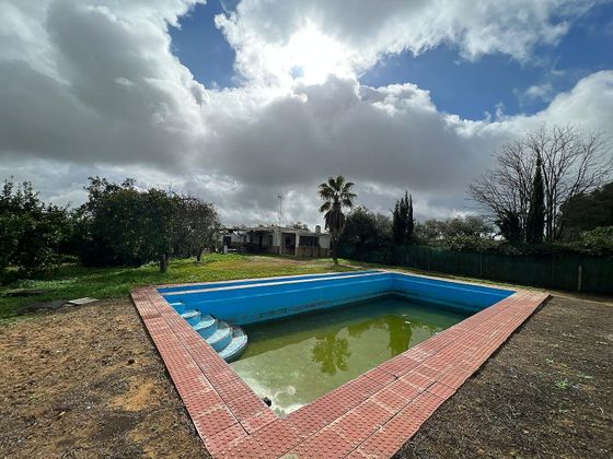 Foto 1 de Venta de casa rural en calle El Vicario de 5 habitaciones con piscina