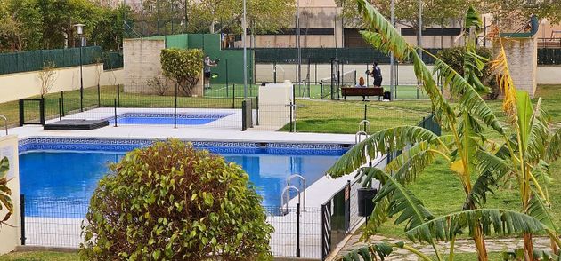 Foto 2 de Alquiler de ático en calle Esquilo de 3 habitaciones con terraza y piscina