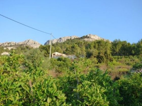 Foto 2 de Venta de terreno en Benimeli de 11000 m²