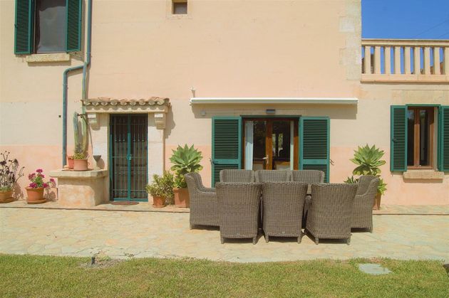 Foto 2 de Xalet en venda a Santa Margalida de 8 habitacions amb terrassa i piscina