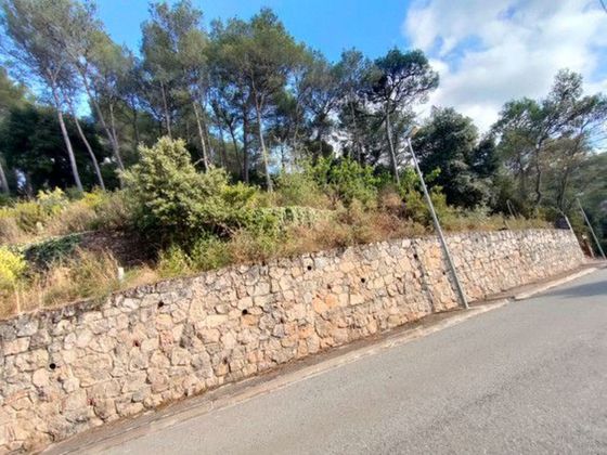 Foto 1 de Venta de terreno en Torrelles de Llobregat de 2600 m²