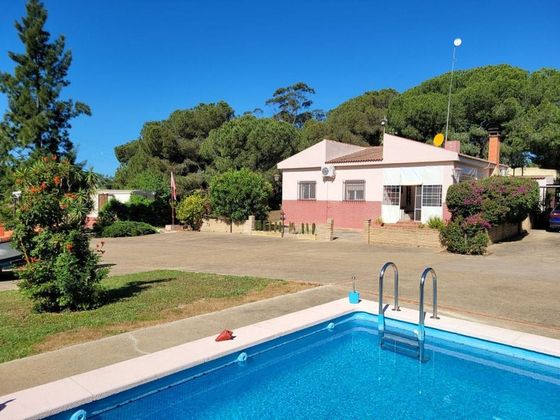 Foto 1 de Casa rural en venta en Bonares de 3 habitaciones con terraza y piscina