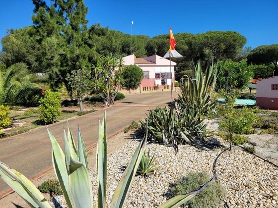 Foto 2 de Casa rural en venta en Bonares de 3 habitaciones con terraza y piscina