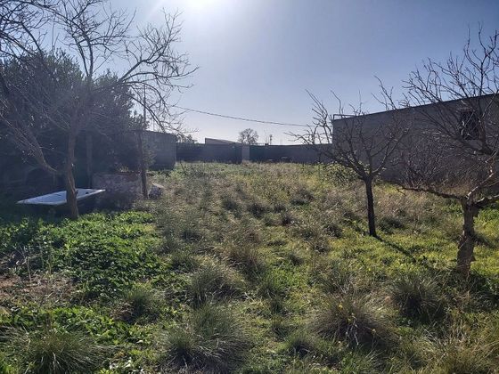 Foto 2 de Venta de terreno en San Clemente de 1188 m²