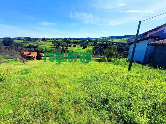 Foto 1 de Venta de terreno en Corvera de Asturias de 4644 m²