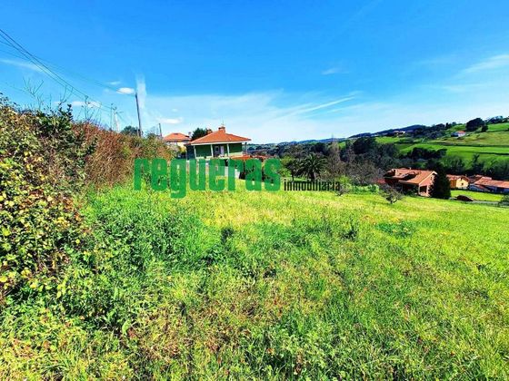 Foto 2 de Venta de terreno en Corvera de Asturias de 4644 m²