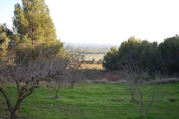 Foto 1 de Venta de terreno en Cabra del Camp de 200000 m²