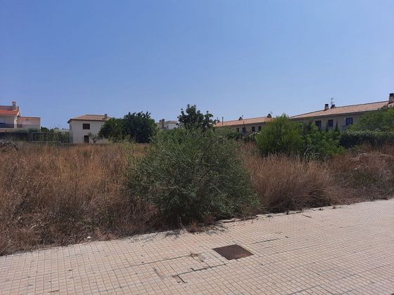 Foto 2 de Terreno en venta en Ampolla, l´ de 652 m²