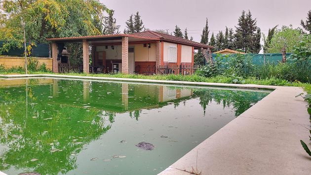 Foto 1 de Xalet en venda a Carmona de 2 habitacions amb piscina i jardí