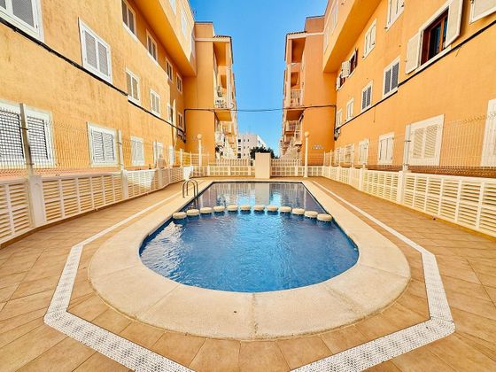 Foto 1 de Venta de piso en Torrelamata - La Mata de 1 habitación con terraza y piscina