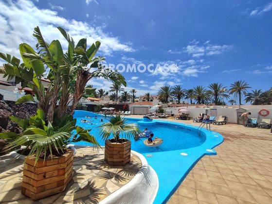 Foto 1 de Venta de estudio en Los Cristianos - Playa de las Américas con terraza y piscina