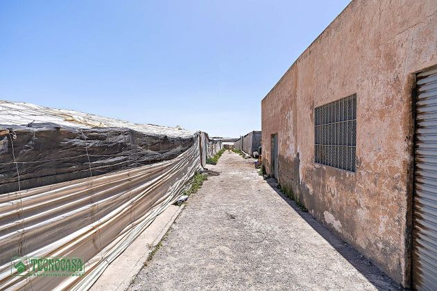 Foto 1 de Terreno en venta en Almerimar - Balerma - San Agustín - Costa de Ejido de 25000 m²